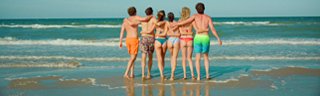 terranova summer